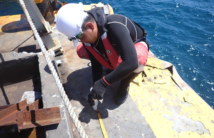 Structural Integrity Assessment - Rebound Hammer Test